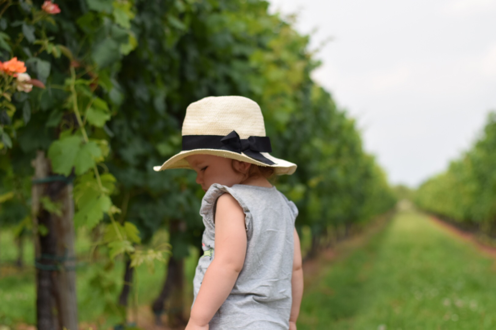 4B6E0DA5-83AF-45EF-8DEB-4DCB38AC786E