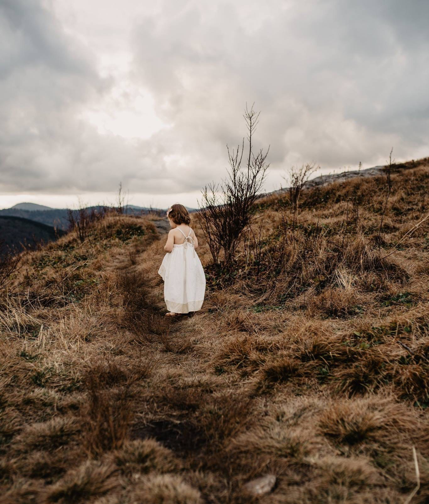 8D5997FE-C76F-4408-B0F6-43A54AB586B4