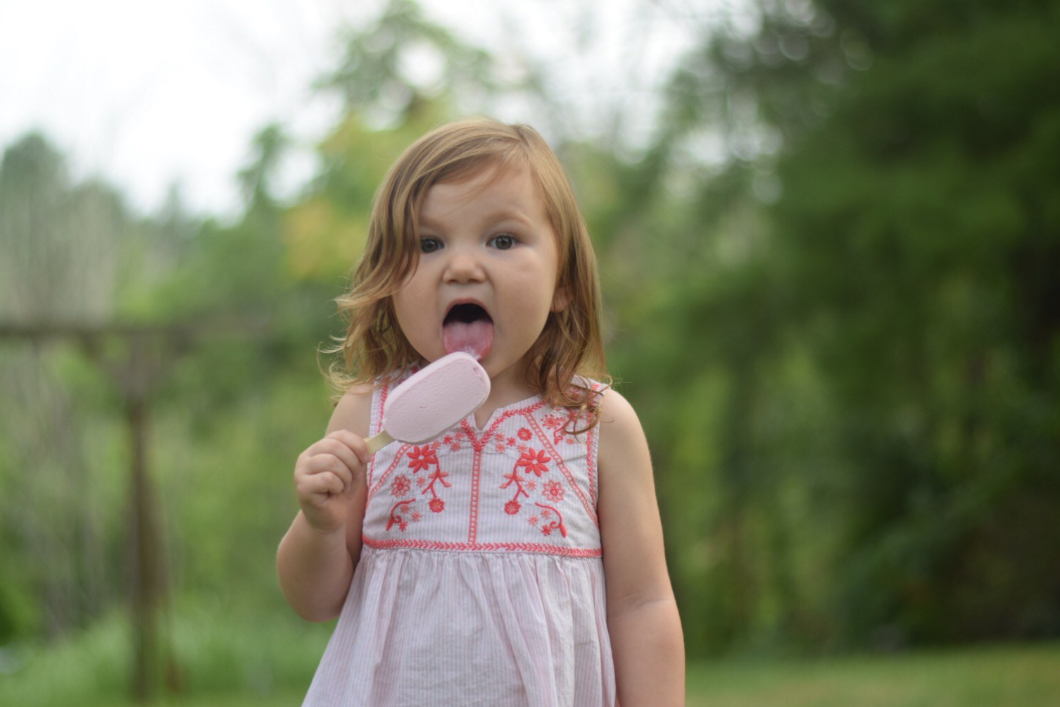 FA6C2B29-1F44-40AD-949C-49014756ACC9