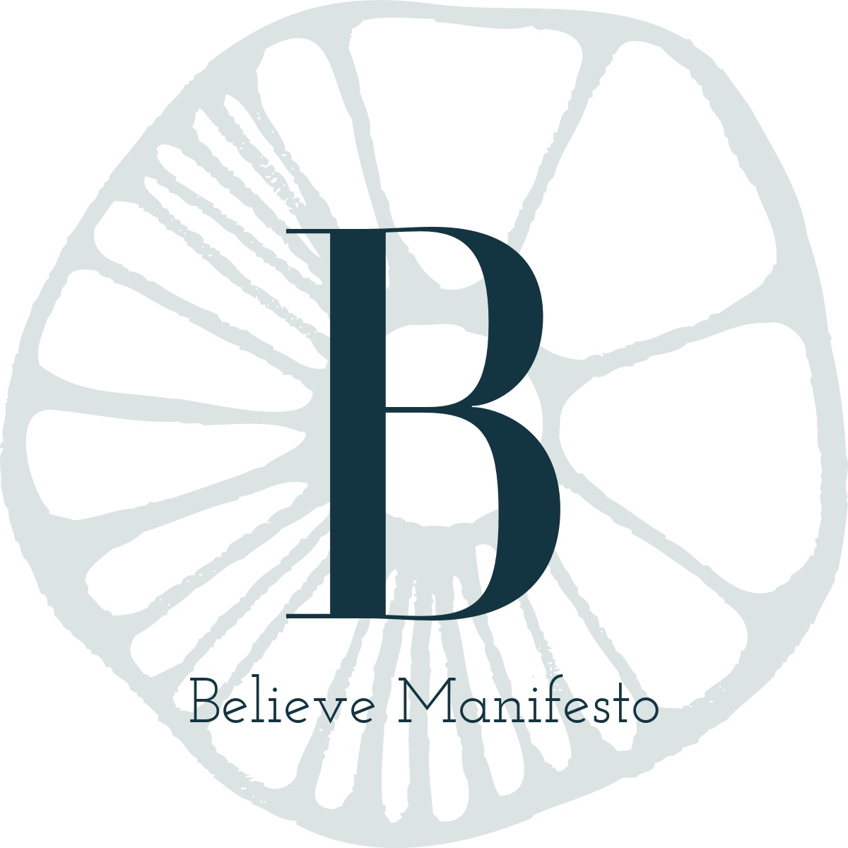 Believe Manifesto